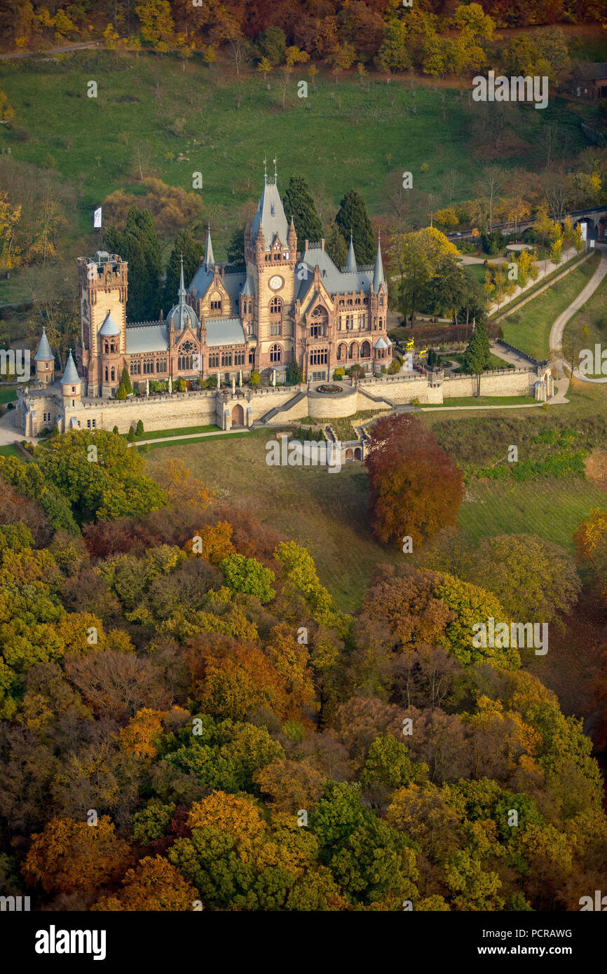 Château de Drachenburg feuilles aux couleurs automnales, vallée du Rhin, Königswinter, entre Siebengebirge Königswinter et Bad Honnef, les feuilles d'automne, en Rhénanie du Nord-Westphalie, Allemagne Banque D'Images