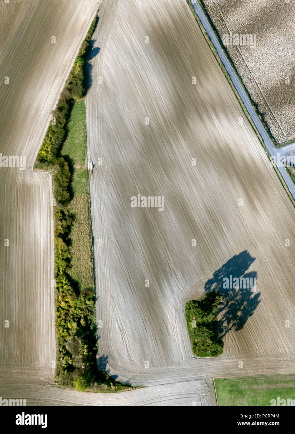 Vue aérienne, les haies en forme de l'un, la photographie s'est inversée, Hamm, Ruhr, Nordrhein-Westfalen, Germany, Europe Banque D'Images