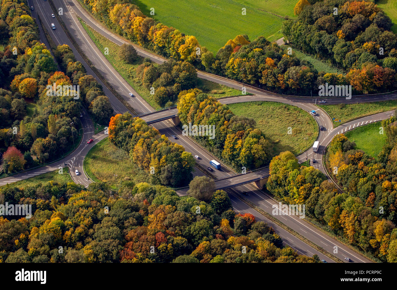 Vue aérienne, l'automne autour de la B224, chemin de fer de transport en commun rapide de l'automne, les feuilles d'automne, Golden Octobre, l'été indien, Gelsenkirchen, Ruhr, Nordrhein-Westfalen, Germany, Europe Banque D'Images