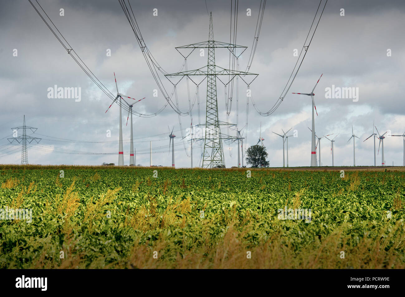 Ligne d'alimentation et d'éoliennes à Altentreptow, Mecklembourg-Poméranie-Occidentale, Allemagne, Banque D'Images