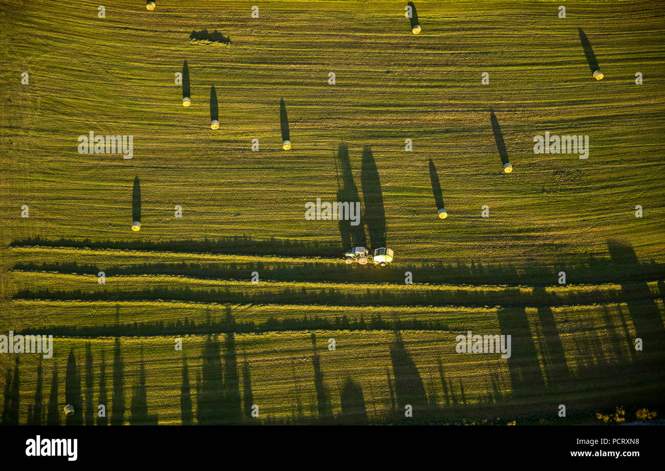 Agriculteur, fermier foin, bottes de foin, ensilage d'herbe, tracteur, presse à balles rondes à Brilon, Sauerland, Rhénanie du Nord-Westphalie, Allemagne Banque D'Images