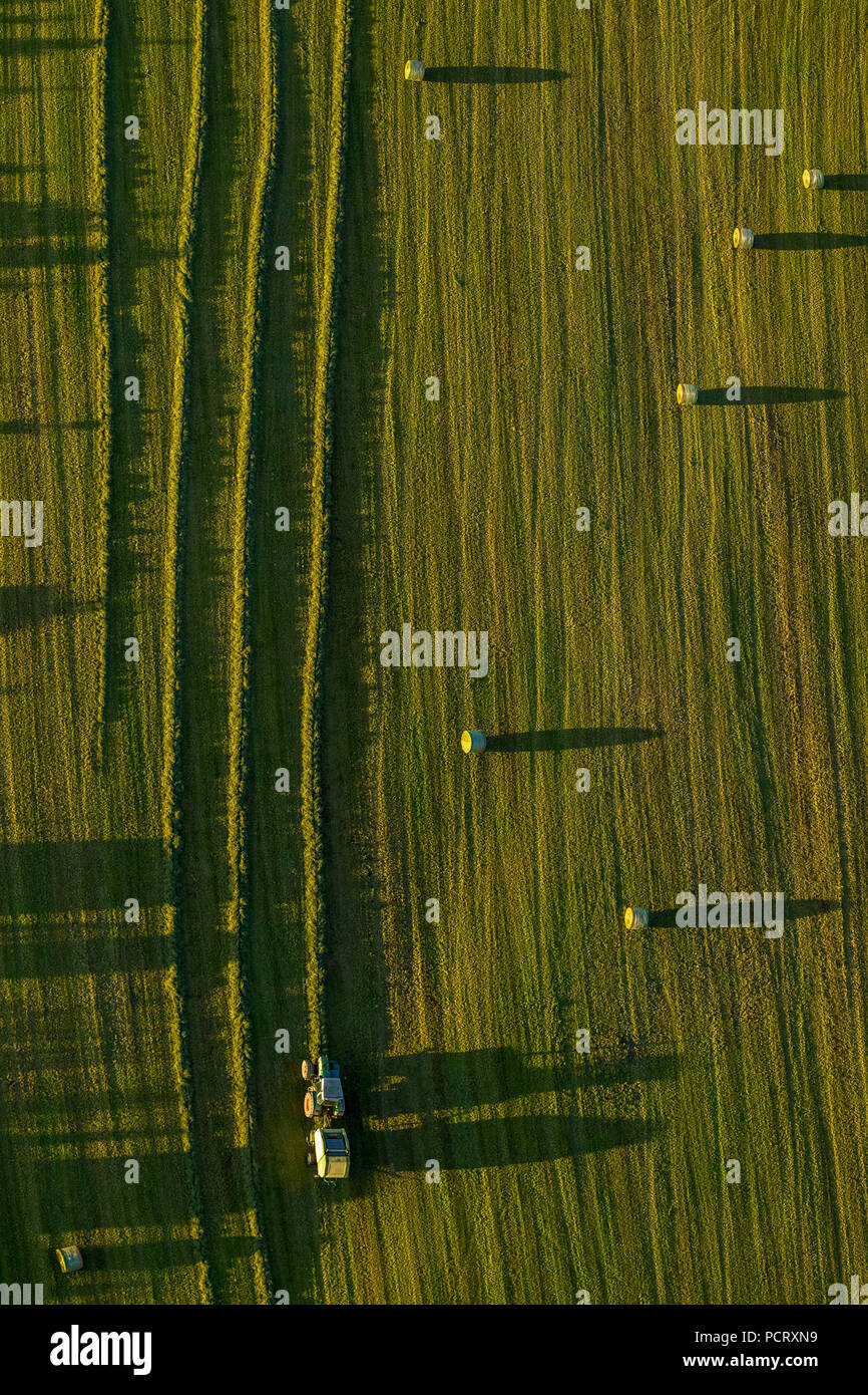 Agriculteur, fermier foin, bottes de foin, ensilage d'herbe, tracteur, presse à balles rondes à Brilon, Sauerland, Rhénanie du Nord-Westphalie, Allemagne Banque D'Images