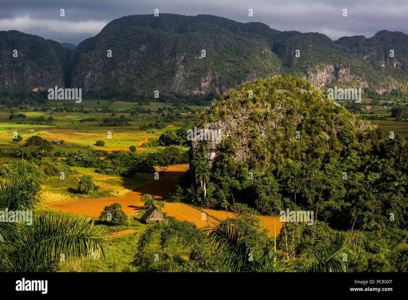 Ferme, gîte paysan, grange pour le séchage des feuilles de tabac, les champs de tabac et les montagnes de l'Mogotes, Vallée de Viñales avec montagnes karstiques, Viñales, la province de Pinar del Río, Cuba, l'Amérique du Nord, Cuba Banque D'Images