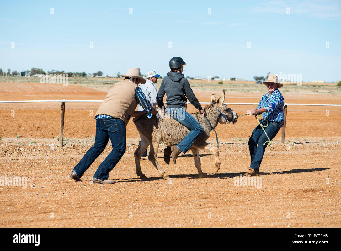 Des courses de chameaux, Marree, Outback Australie Banque D'Images