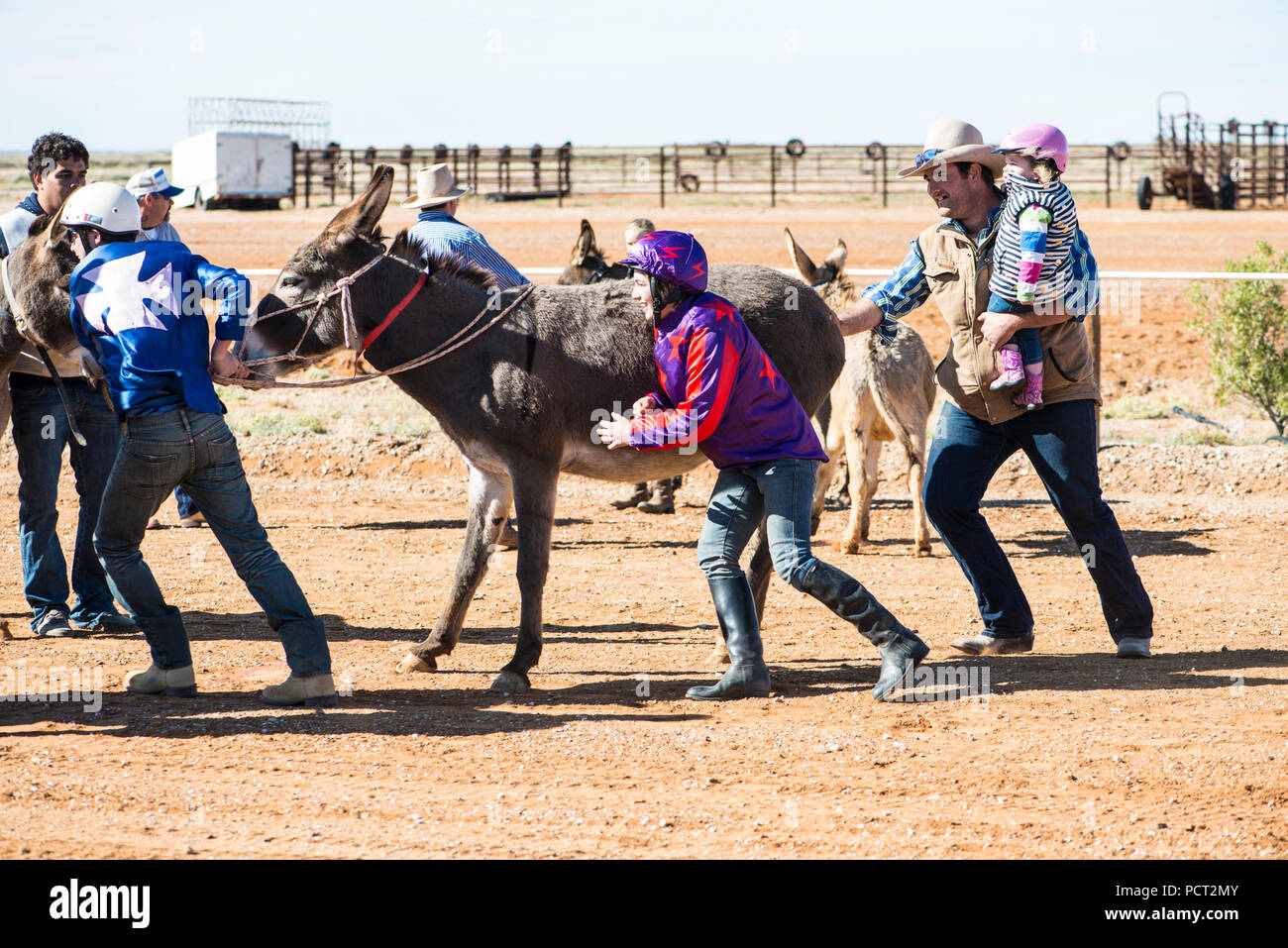 Des courses de chameaux, Marree, Outback Australie Banque D'Images