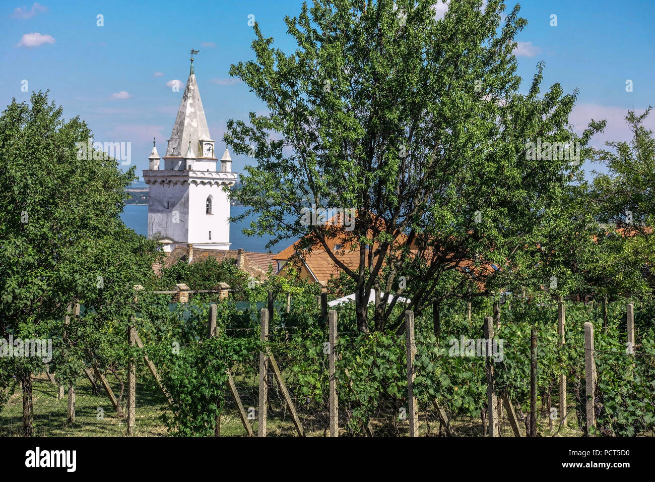 Vignobles tchèques, Tour de l'église dans un vignoble, petit village Pavlov République tchèque paysage Moravie du Sud Banque D'Images