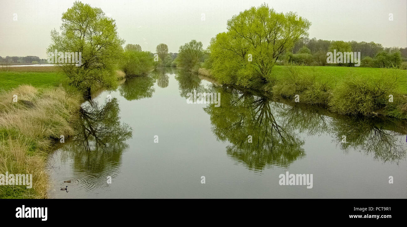 Arbres se reflétant dans l'eau, inondation, Lippe Lippe River, cours d'eau, réserve naturelle au sud d'Olfen, Olfen, Ruhr, Münsterland Banque D'Images