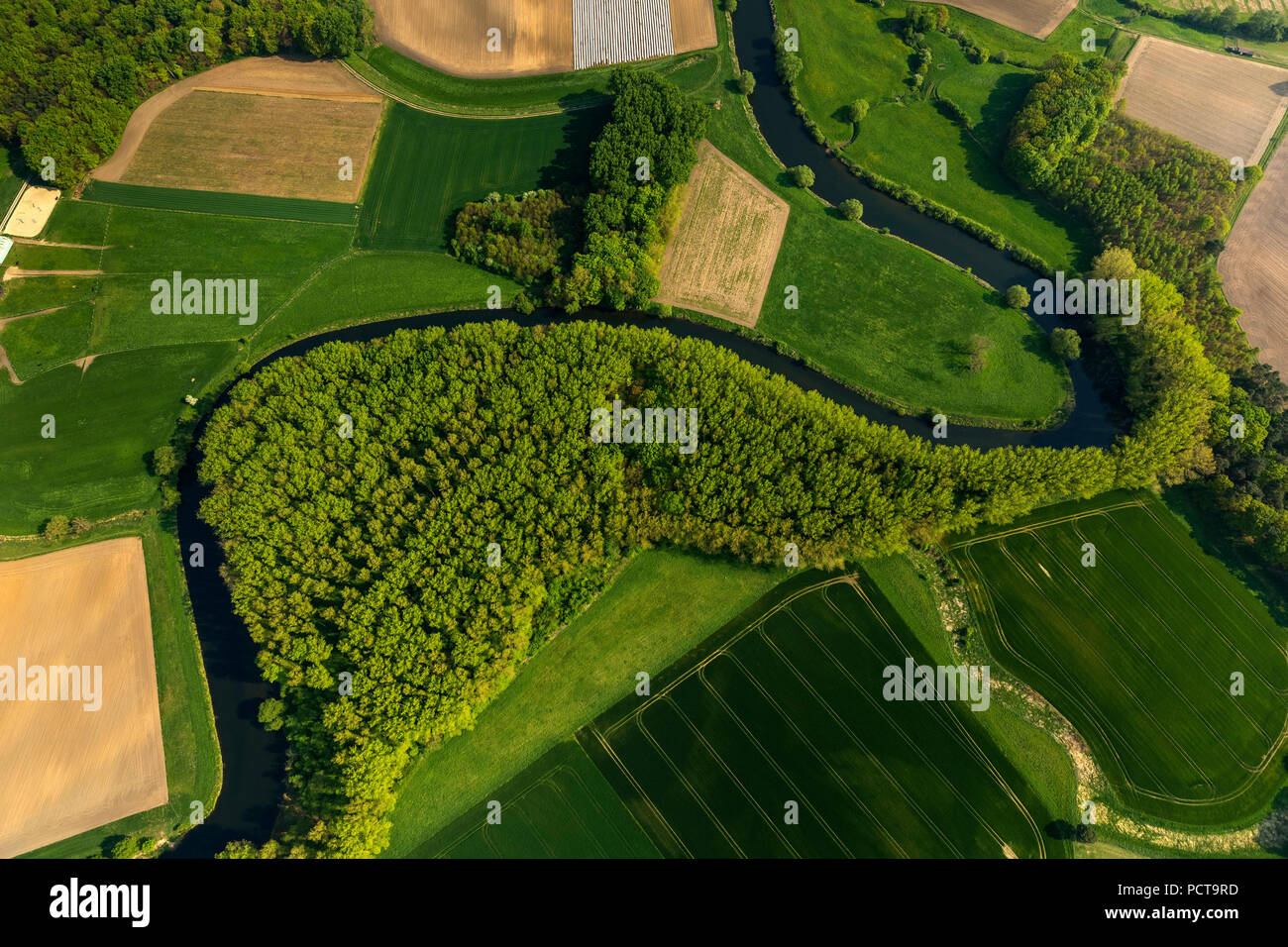 Olfen, rivière Lippe Lippe, d'inondation, bien sûr, de Lippe Lippe serpentent avec champs de colza, Münsterland Banque D'Images