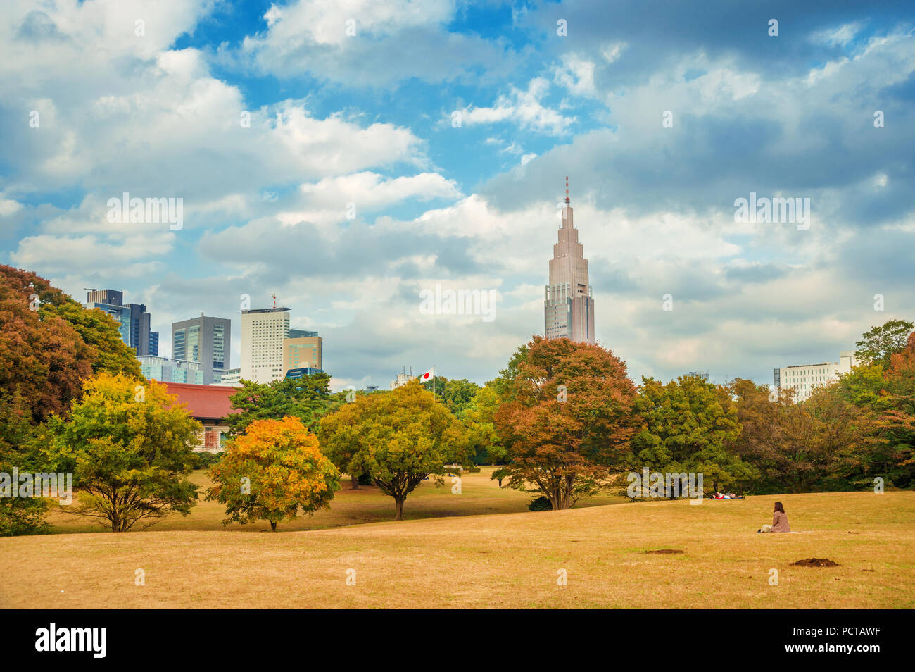 Nature et environnement urbain, dans la région de Tokyo. Quartier de Shinjuku gratte-ciel vu de Meiji Jingu parc public à l'automne Banque D'Images