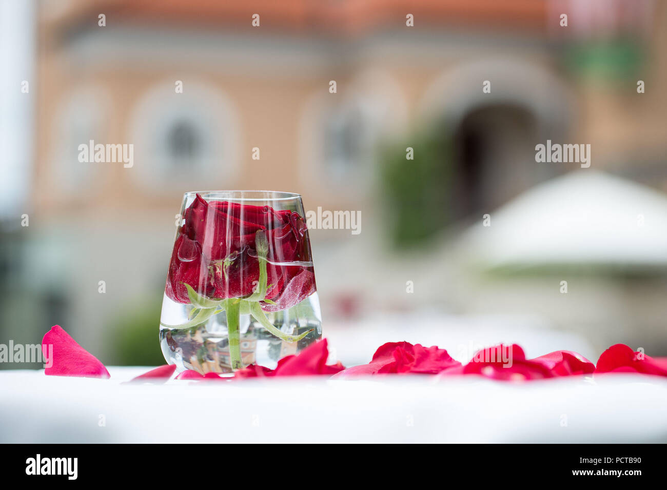 Décoration de table, rose rouge dans un verre Banque D'Images