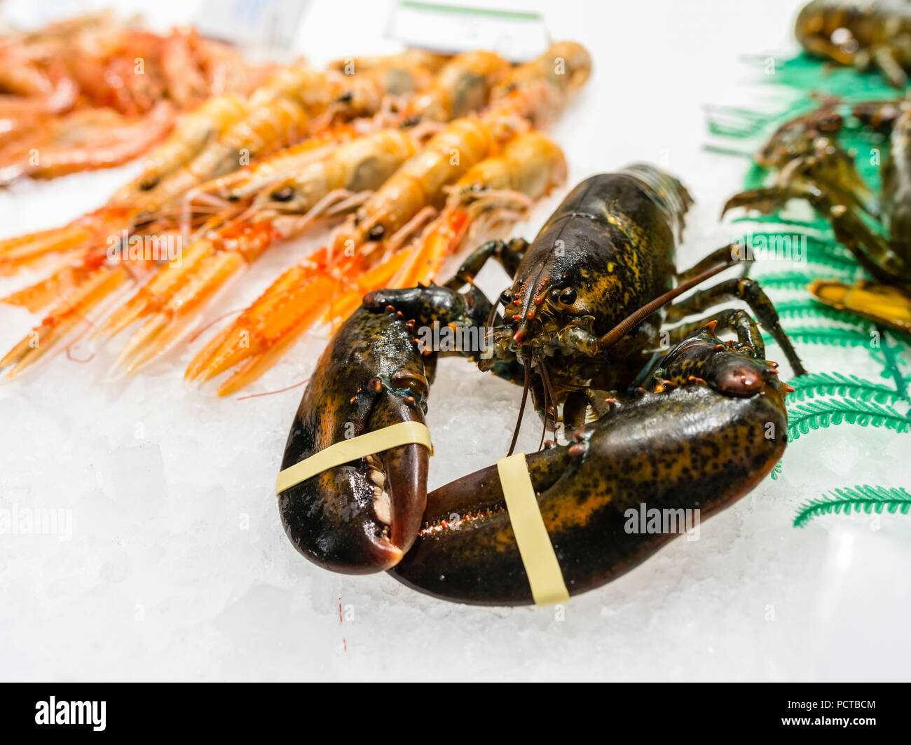 Mercat de la boqueria à Barcelone, le homard hall Banque D'Images