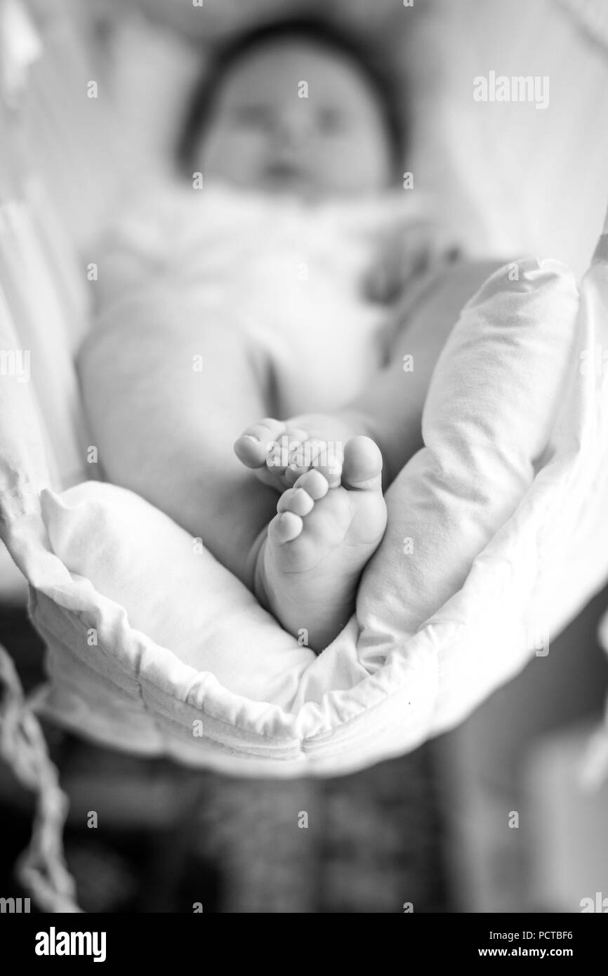 Bébé, environ 5 mois, couché dans un looping - Banque D'Images