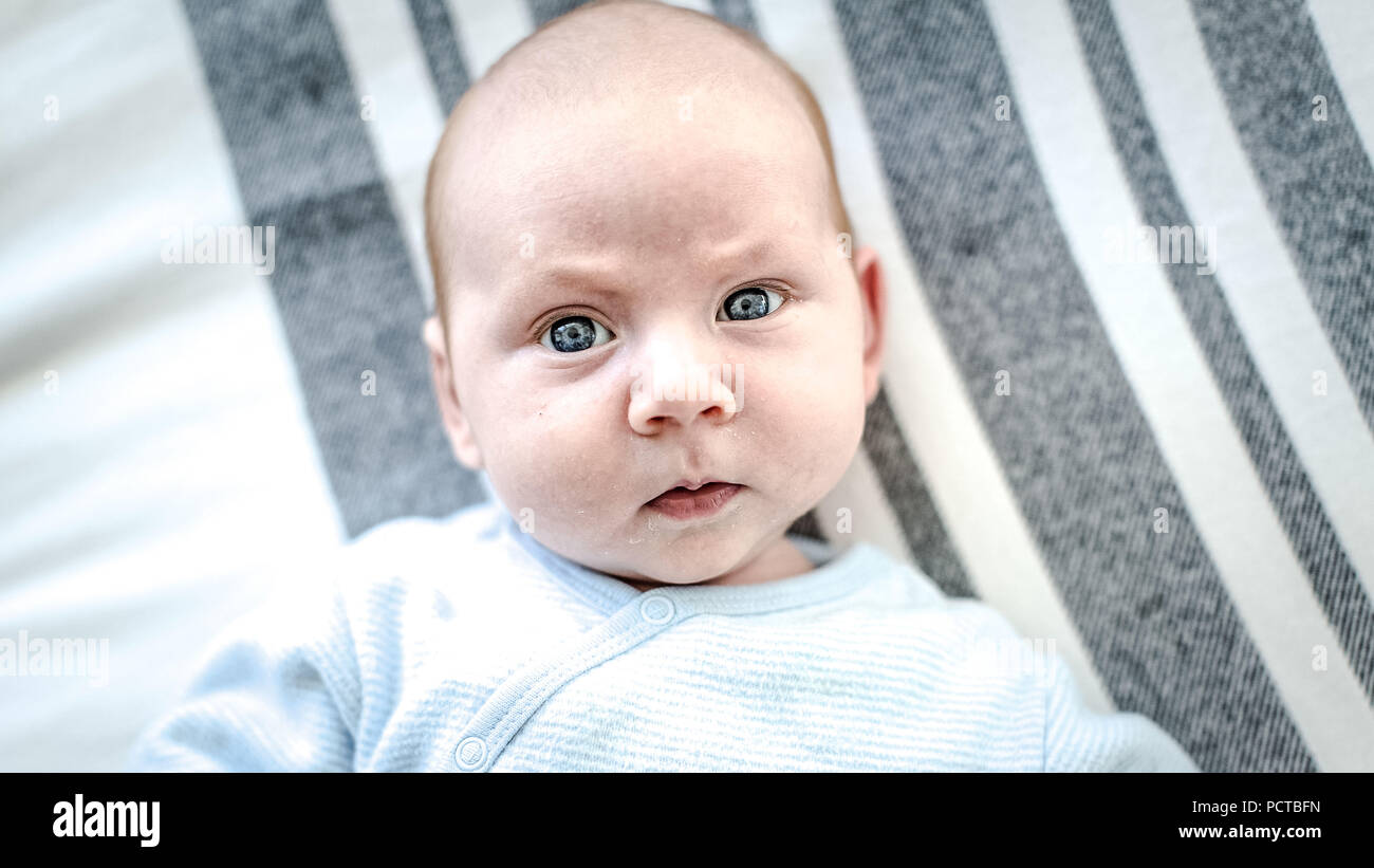 Bébé, garçon, 3 mois, à l'appareil photo au sérieux +C2614:D2626 Banque D'Images