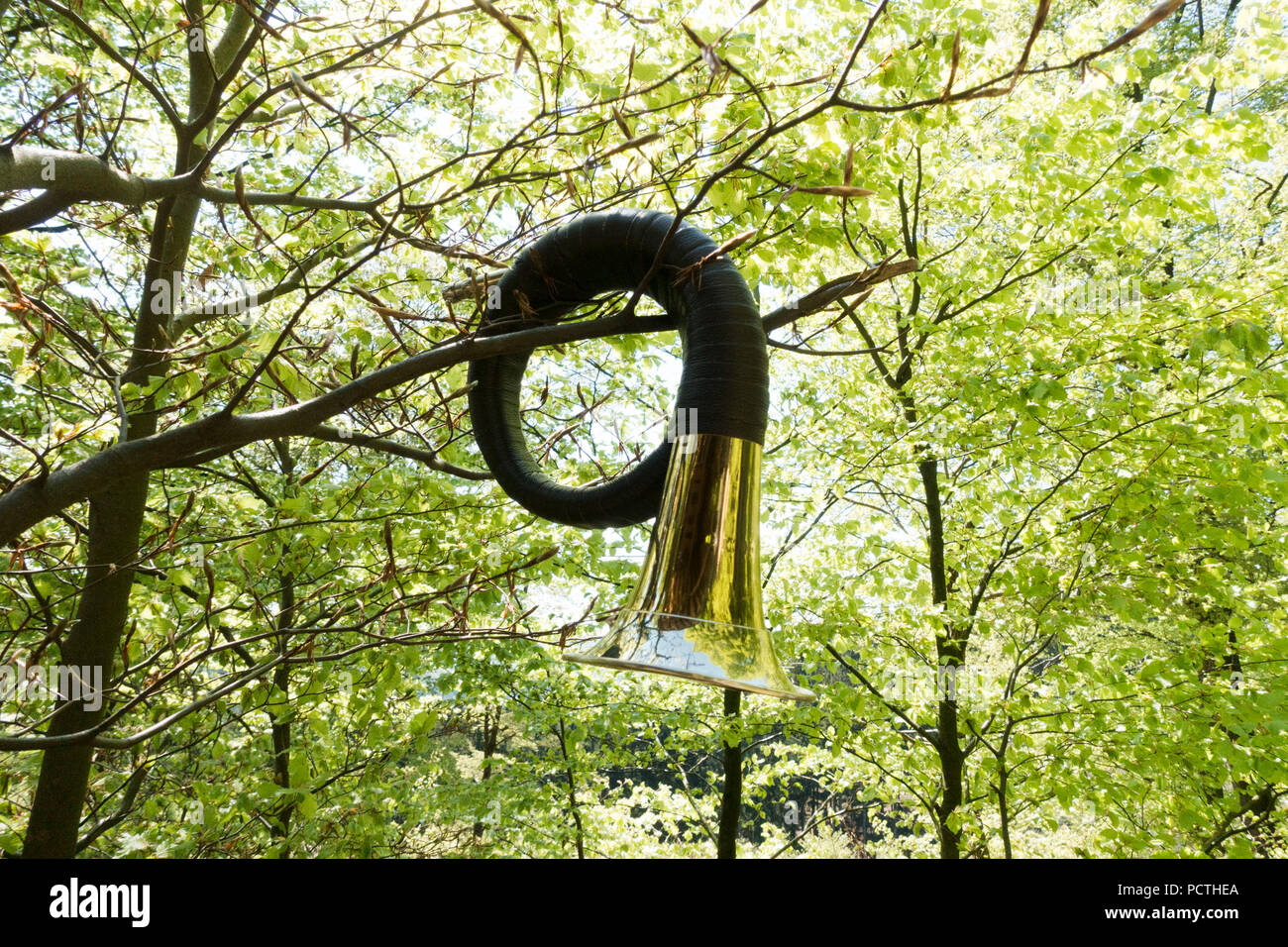 Cor de chasse suspendu à un arbre dans la forêt Banque D'Images