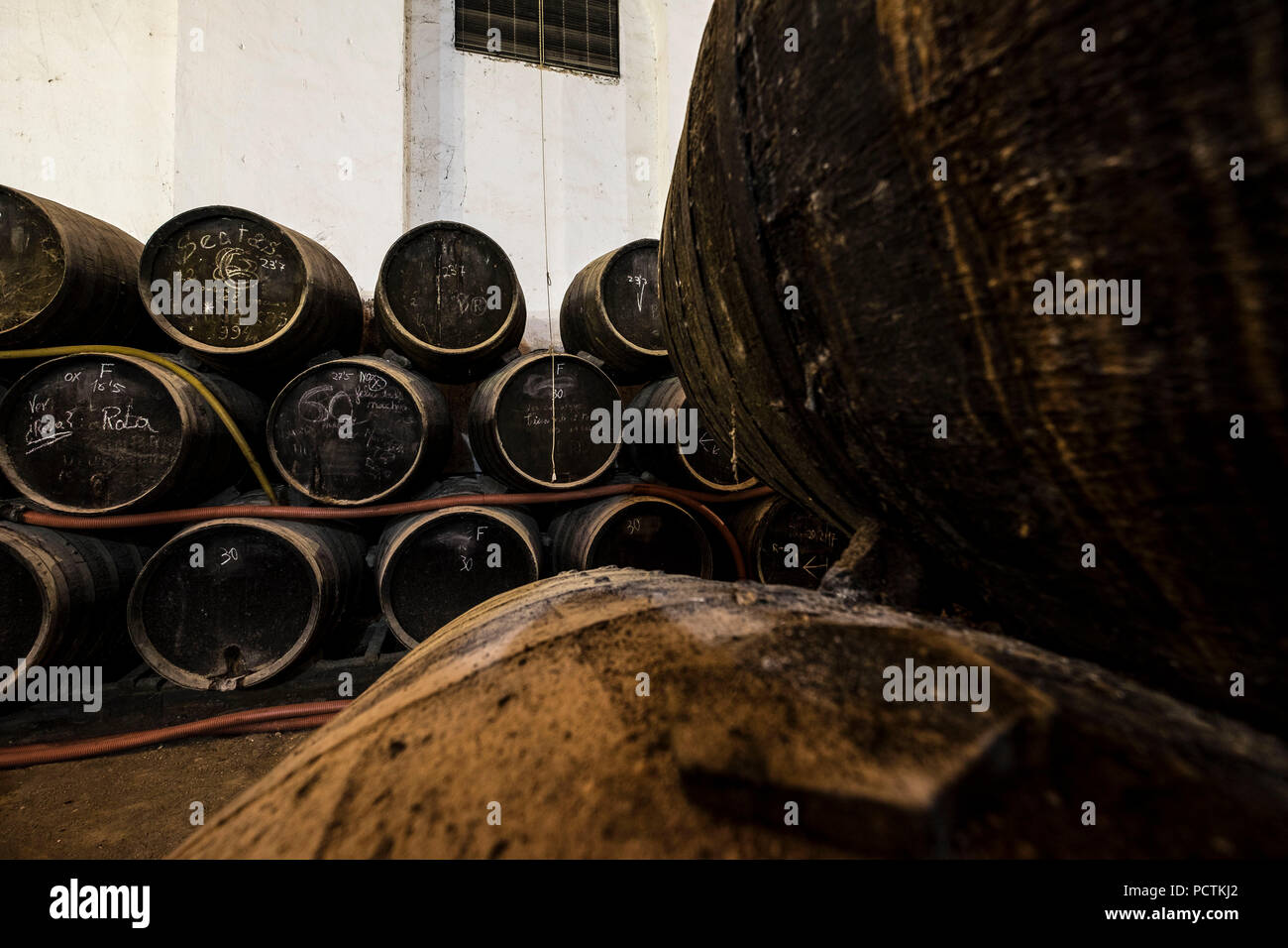 Les vineries Delgado existent depuis 1874 dans la ville andalouse Puente Genil. Produit des vins doux, certains des meilleurs d'Espagne Banque D'Images