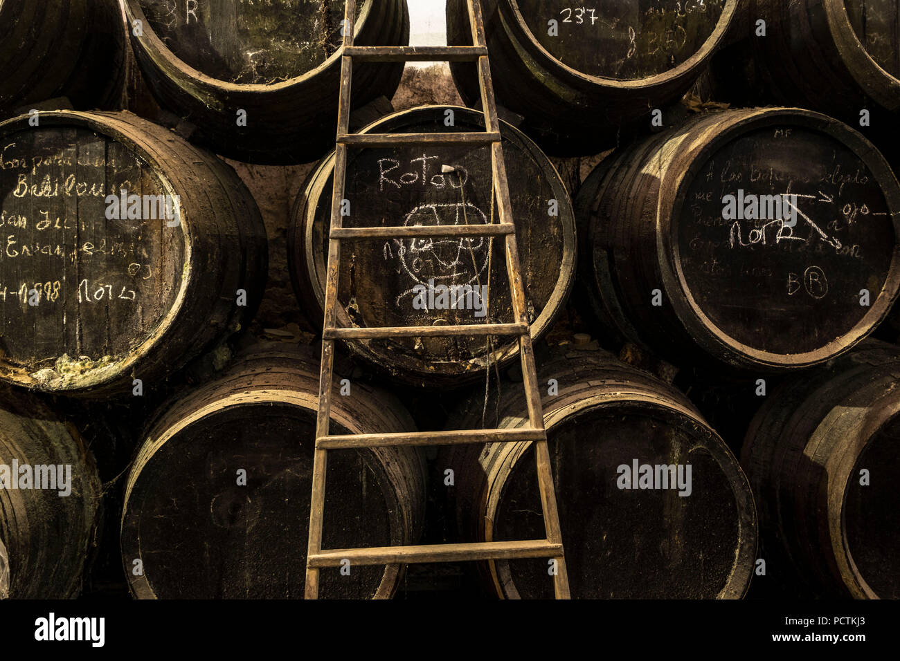 Les vineries Delgado existent depuis 1874 dans la ville andalouse Puente Genil. Produit des vins doux, certains des meilleurs d'Espagne Banque D'Images