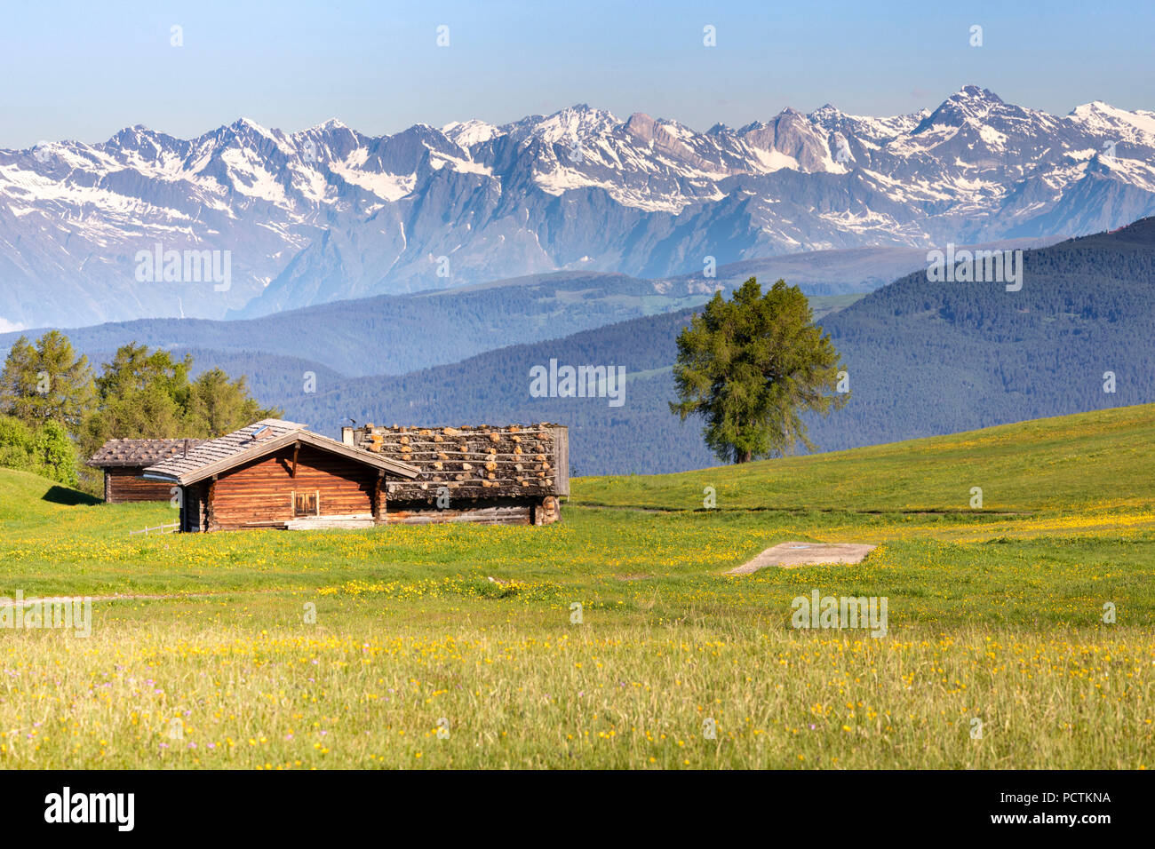 L'Europe, Italie, Bolzano, le Tyrol du Sud, à l'Alpe di Siusi - Alpe di Siusi, paysage alpin avec cabanes de bois et de montagnes Banque D'Images