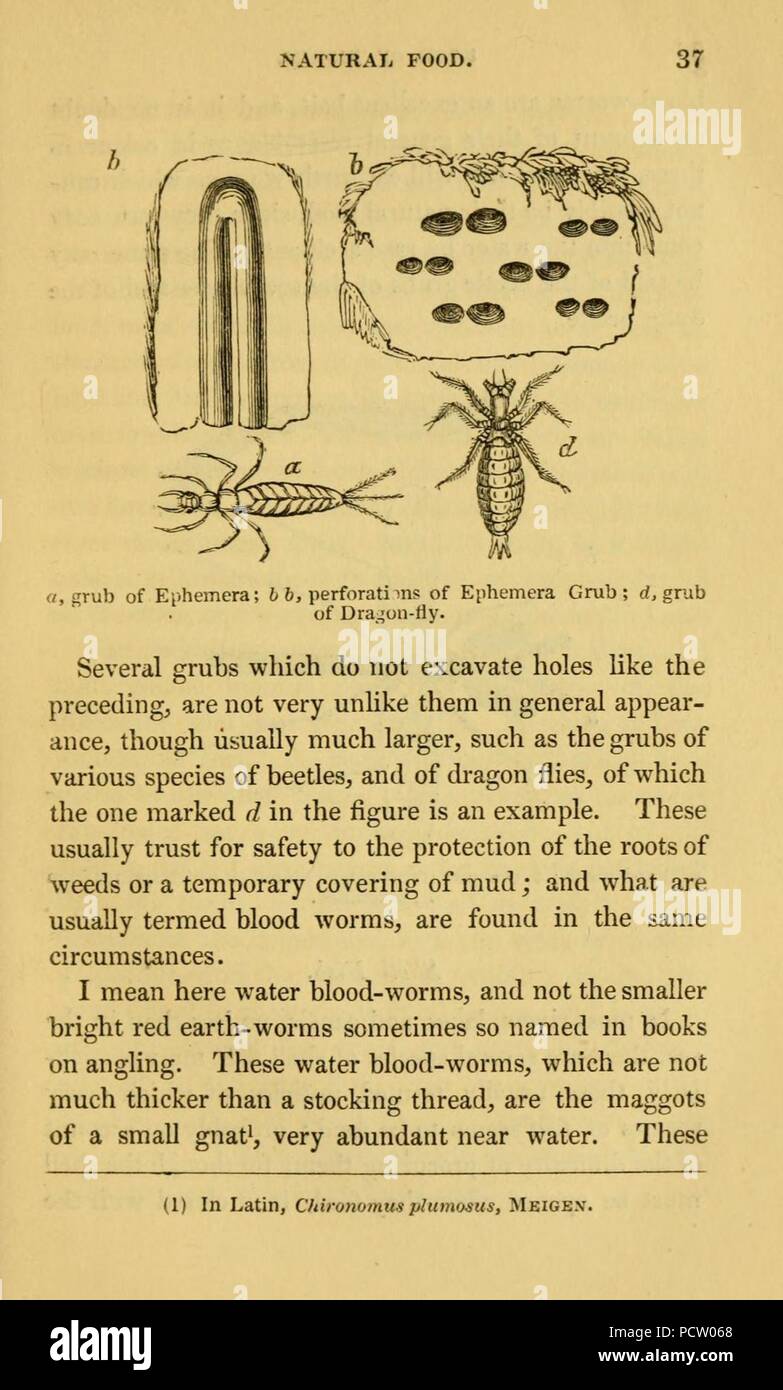 L'alphabet de la pêche scientifique à l'usage des débutants Banque D'Images