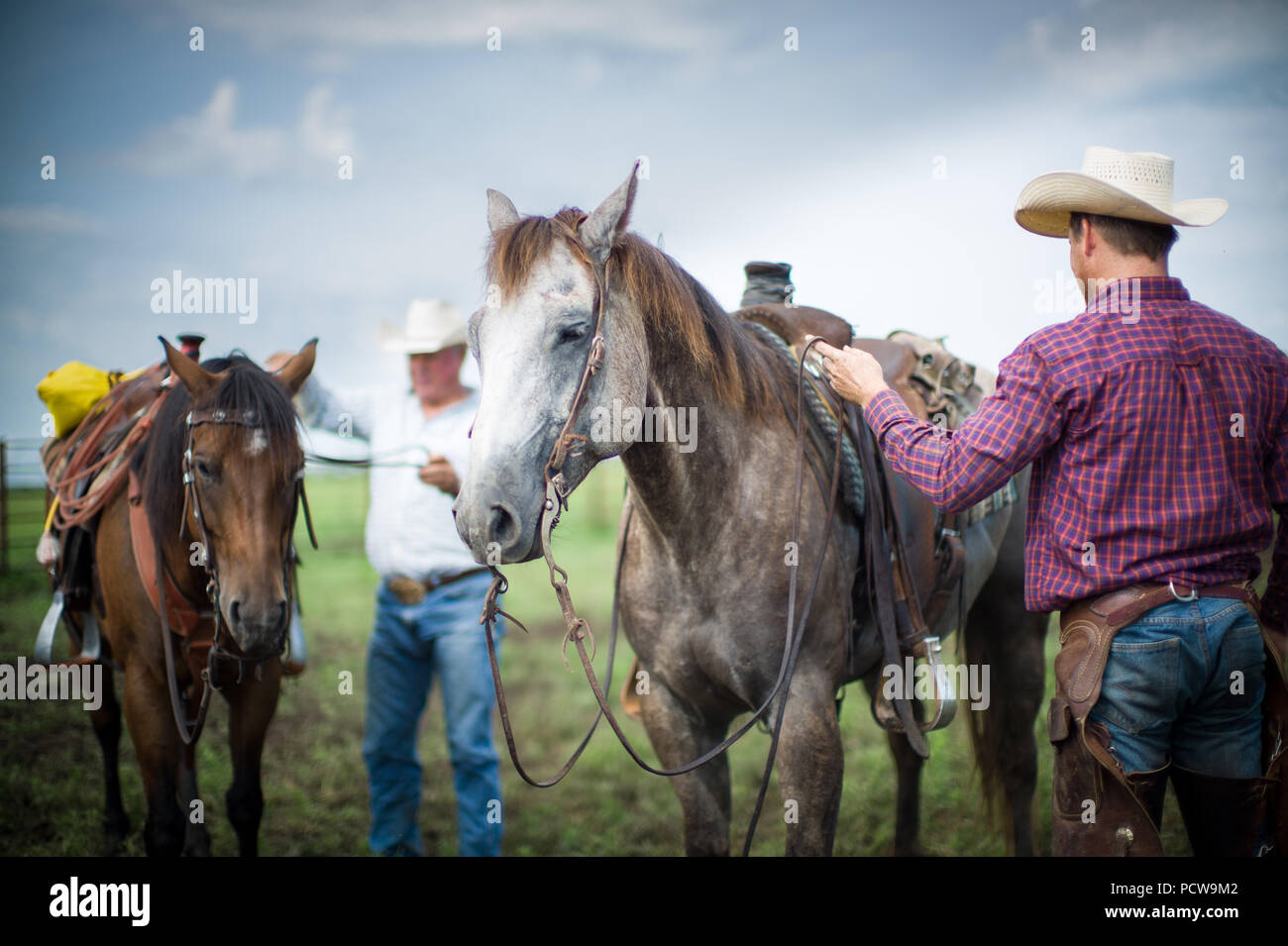 Cowboys préparer leurs chevaux pour se préparer à arrêter sur un ranch de bétail, Flint Hills, Kansas, États-Unis. Banque D'Images