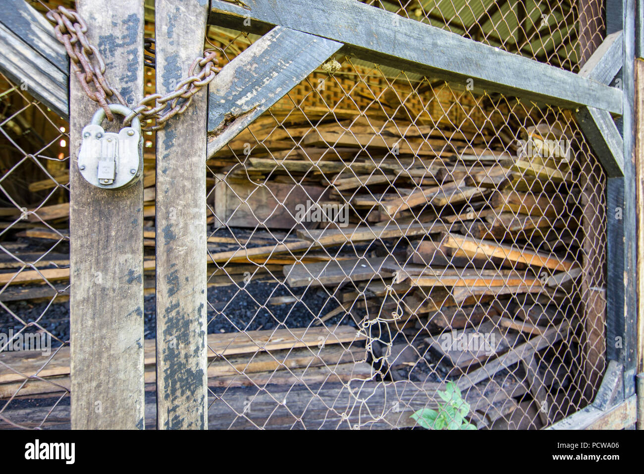 Confisqué des planches de bois de cèdre Mulanje endanged, Widdringtonia whytei, confisqués par Département des forêts, le mont Mulanje, District Sud, Malawi Banque D'Images