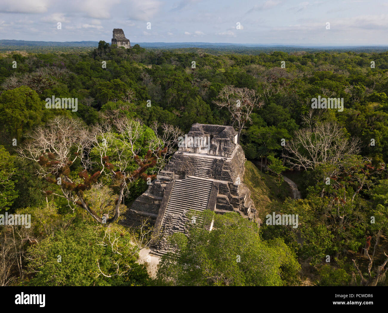 Parc national de Tikal, Guatemala Banque D'Images