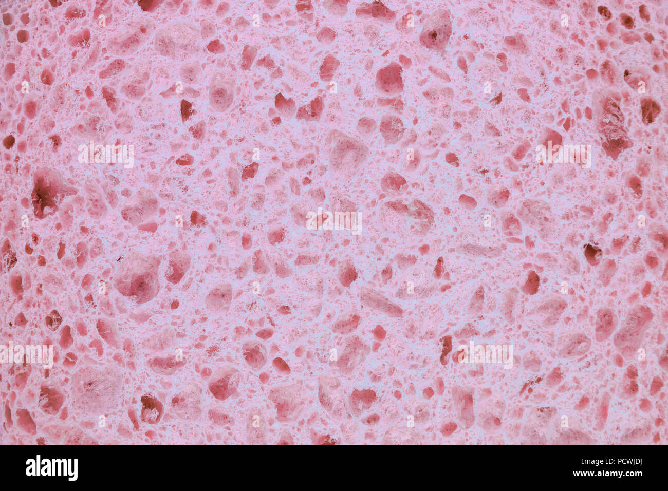 Arrière-plan de la Texture de surface rose éponge corps bain Banque D'Images