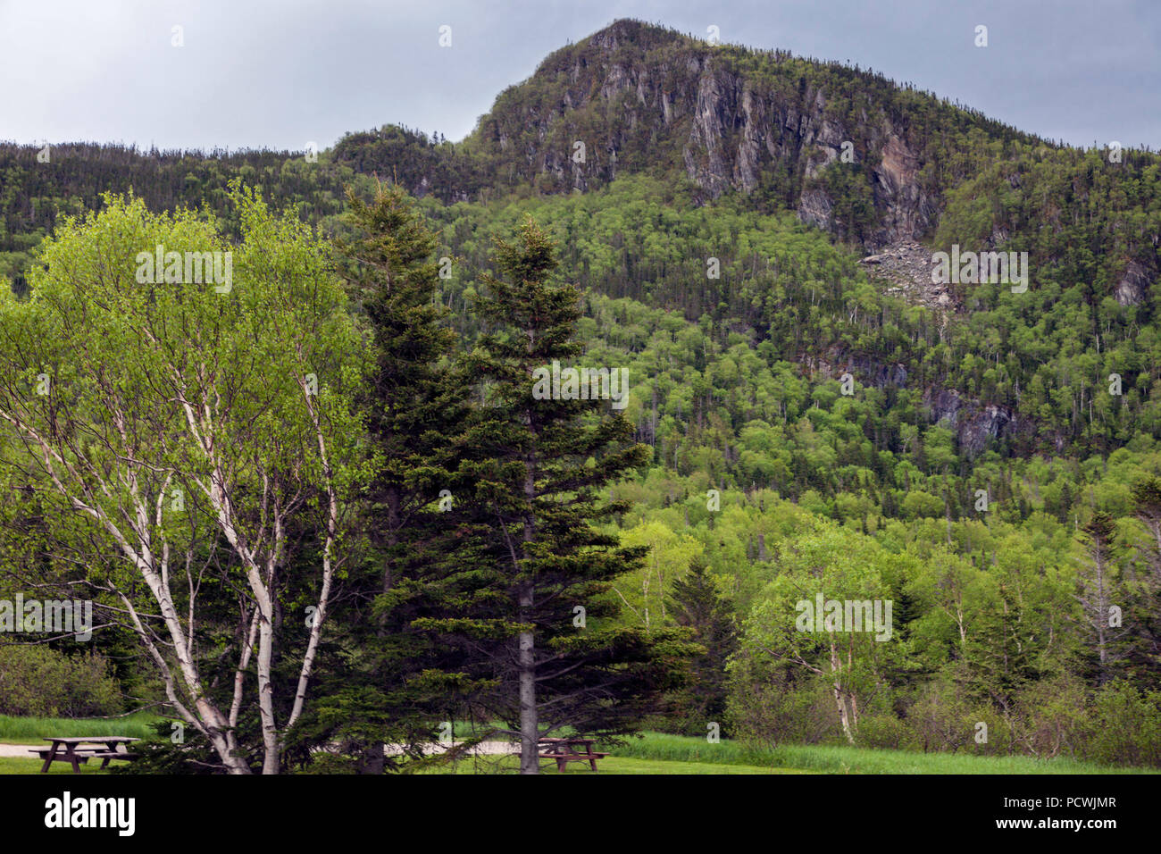 Le parc national du Gros-Morne à Terre-Neuve. St John's, Terre-Neuve et Labrador, Canada. Banque D'Images