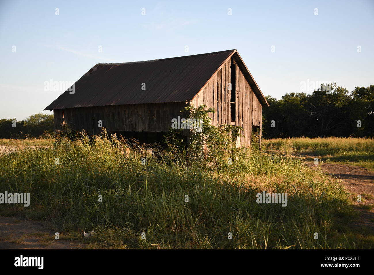 Old shed in field Banque D'Images