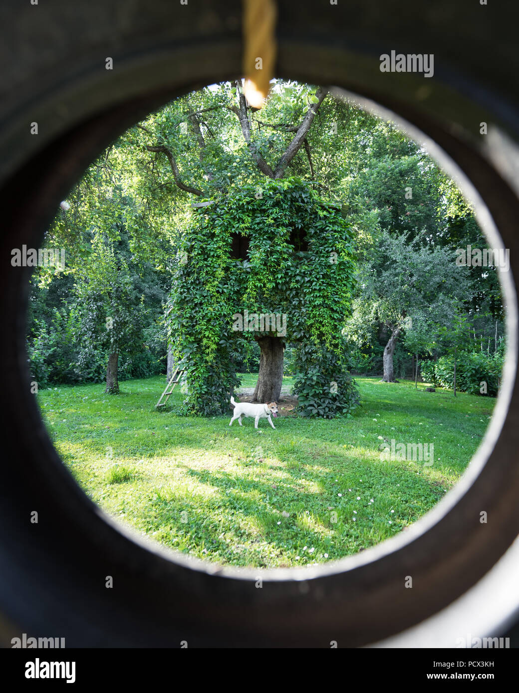 Maison sur arbre dans le jardin de printemps vert Banque D'Images