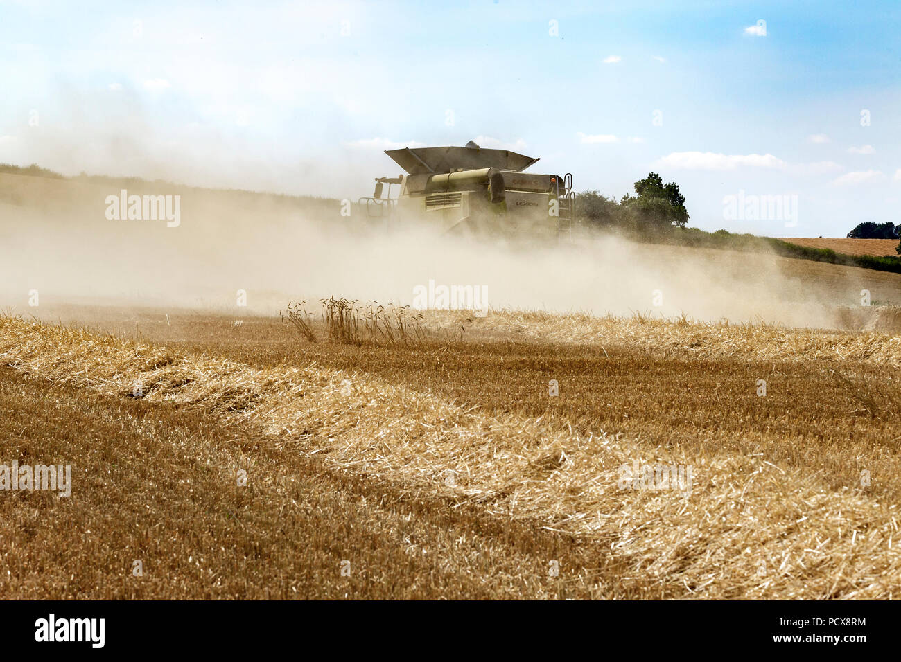 Great Brington, Northamptonshire, Angleterre. 4 août 2018. Les ouvriers agricoles de la récolte avec une moissonneuse Claas 770 Lexton travailler dur pendant la chaleur de l'après-midi pour couper le champ de blé, pour tirer le meilleur parti de la chaleur de l'été la météo. Credit : Keith J Smith./Alamy Live News Banque D'Images