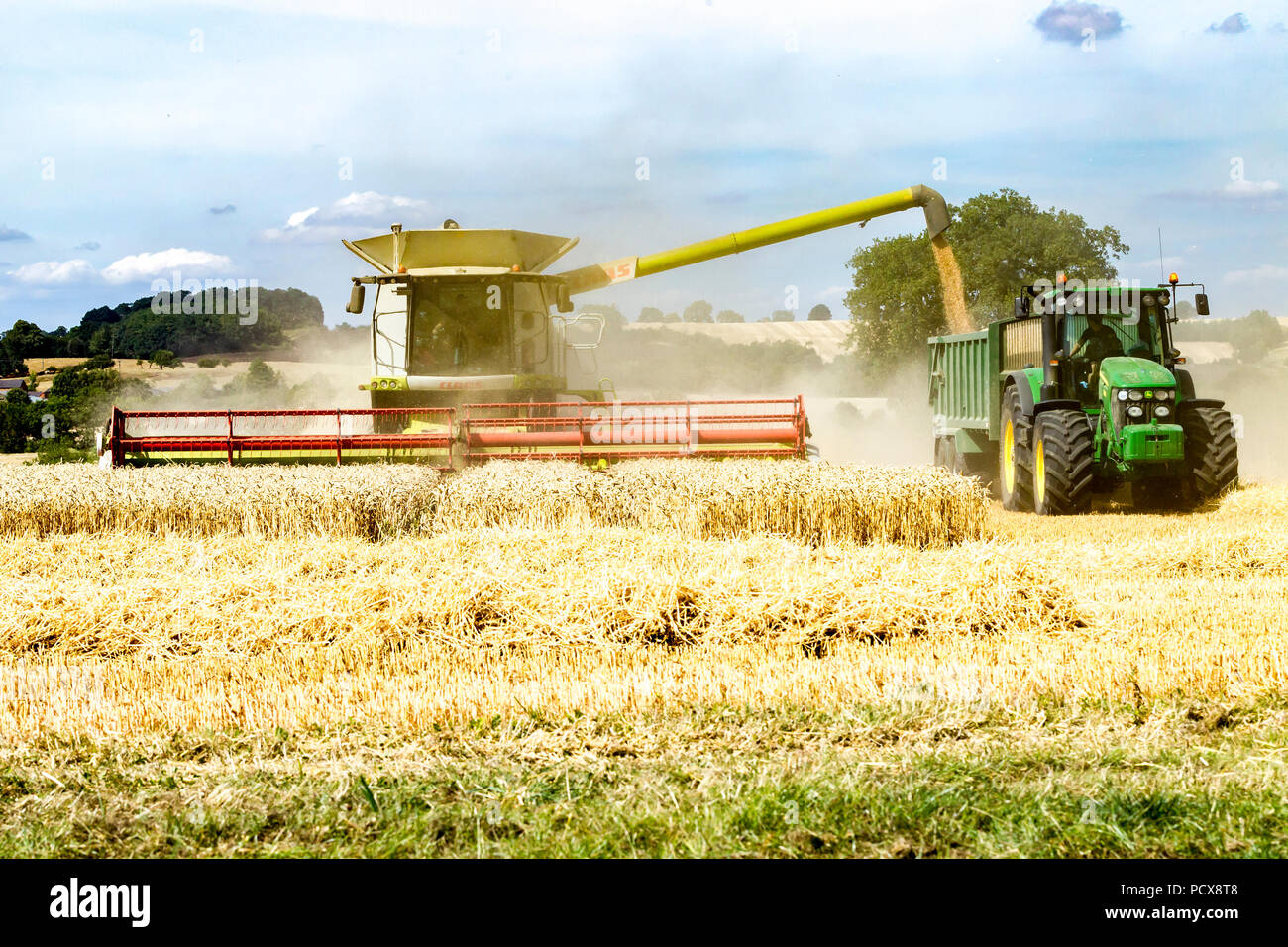 Great Brington, Northamptonshire, Angleterre. 4 août 2018. Les ouvriers agricoles de la récolte avec une moissonneuse Claas 770 Lexton travailler dur pendant la chaleur de l'après-midi pour couper le champ de blé, pour tirer le meilleur parti de la chaleur de l'été la météo. Credit : Keith J Smith./Alamy Live News Banque D'Images
