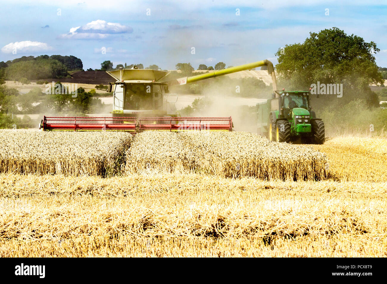 Great Brington, Northamptonshire, Angleterre. 4 août 2018. Les ouvriers agricoles de la récolte avec une moissonneuse Claas 770 Lexton travailler dur pendant la chaleur de l'après-midi pour couper le champ de blé, pour tirer le meilleur parti de la chaleur de l'été la météo. Credit : Keith J Smith./Alamy Live News Banque D'Images