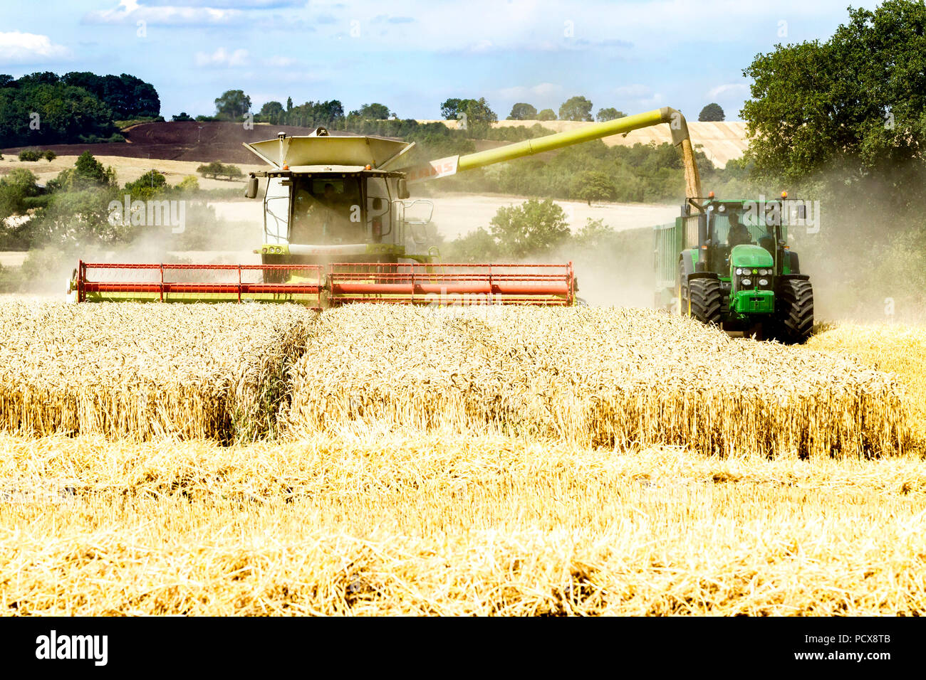 Great Brington, Northamptonshire, Angleterre. 4 août 2018. Les ouvriers agricoles de la récolte avec une moissonneuse Claas 770 Lexton travailler dur pendant la chaleur de l'après-midi pour couper le champ de blé, pour tirer le meilleur parti de la chaleur de l'été la météo. Credit : Keith J Smith./Alamy Live News Banque D'Images