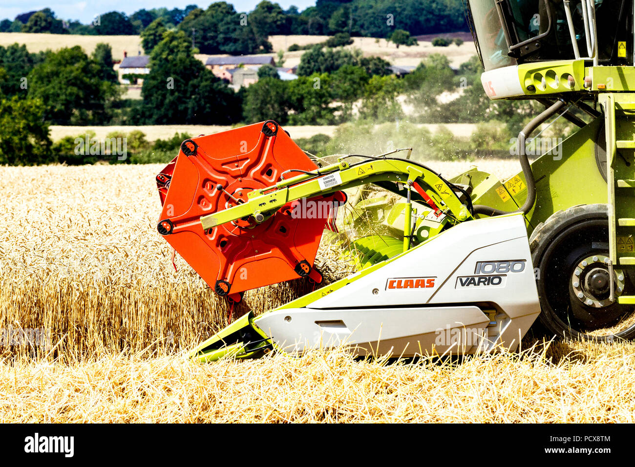 Great Brington, Northamptonshire, Angleterre. 4 août 2018. Les ouvriers agricoles de la récolte avec une moissonneuse Claas 770 Lexton travailler dur pendant la chaleur de l'après-midi pour couper le champ de blé, pour tirer le meilleur parti de la chaleur de l'été la météo. Credit : Keith J Smith./Alamy Live News Banque D'Images