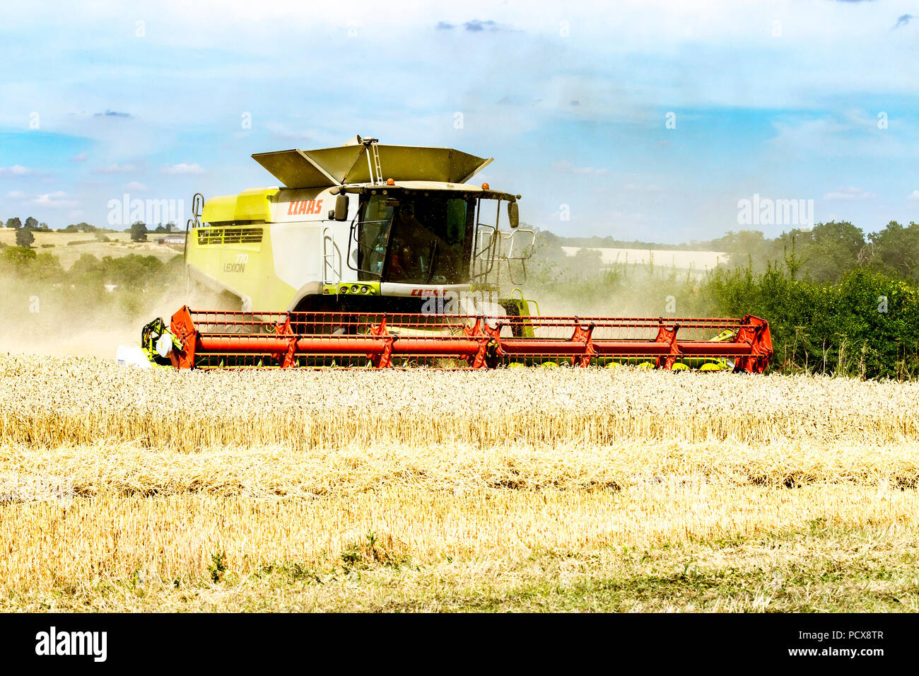 Great Brington, Northamptonshire, Angleterre. 4 août 2018. Les ouvriers agricoles de la récolte avec une moissonneuse Claas 770 Lexton travailler dur pendant la chaleur de l'après-midi pour couper le champ de blé, pour tirer le meilleur parti de la chaleur de l'été la météo. Credit : Keith J Smith./Alamy Live News Banque D'Images