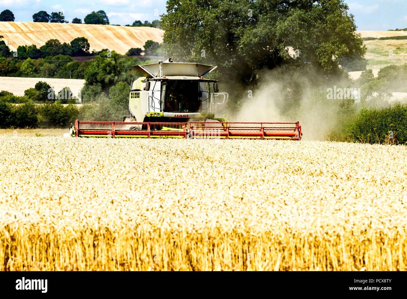Great Brington, Northamptonshire, Angleterre. 4 août 2018. Les ouvriers agricoles de la récolte avec une moissonneuse Claas 770 Lexton travailler dur pendant la chaleur de l'après-midi pour couper le champ de blé, pour tirer le meilleur parti de la chaleur de l'été la météo. Credit : Keith J Smith./Alamy Live News Banque D'Images