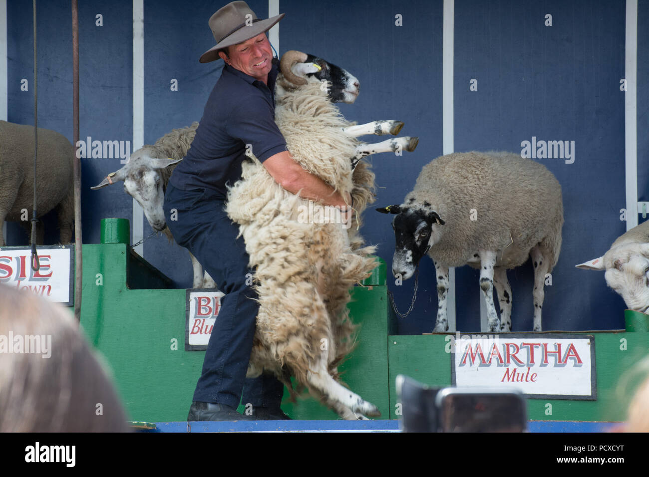 Oxfordshire, Royaume-Uni. 4 août 2018. Des milliers de personnes sont allés au spectacle Countryfile Live par une chaude journée ensoleillée. Le spectacle de moutons et la démonstration de tonte sont illustrés. Banque D'Images