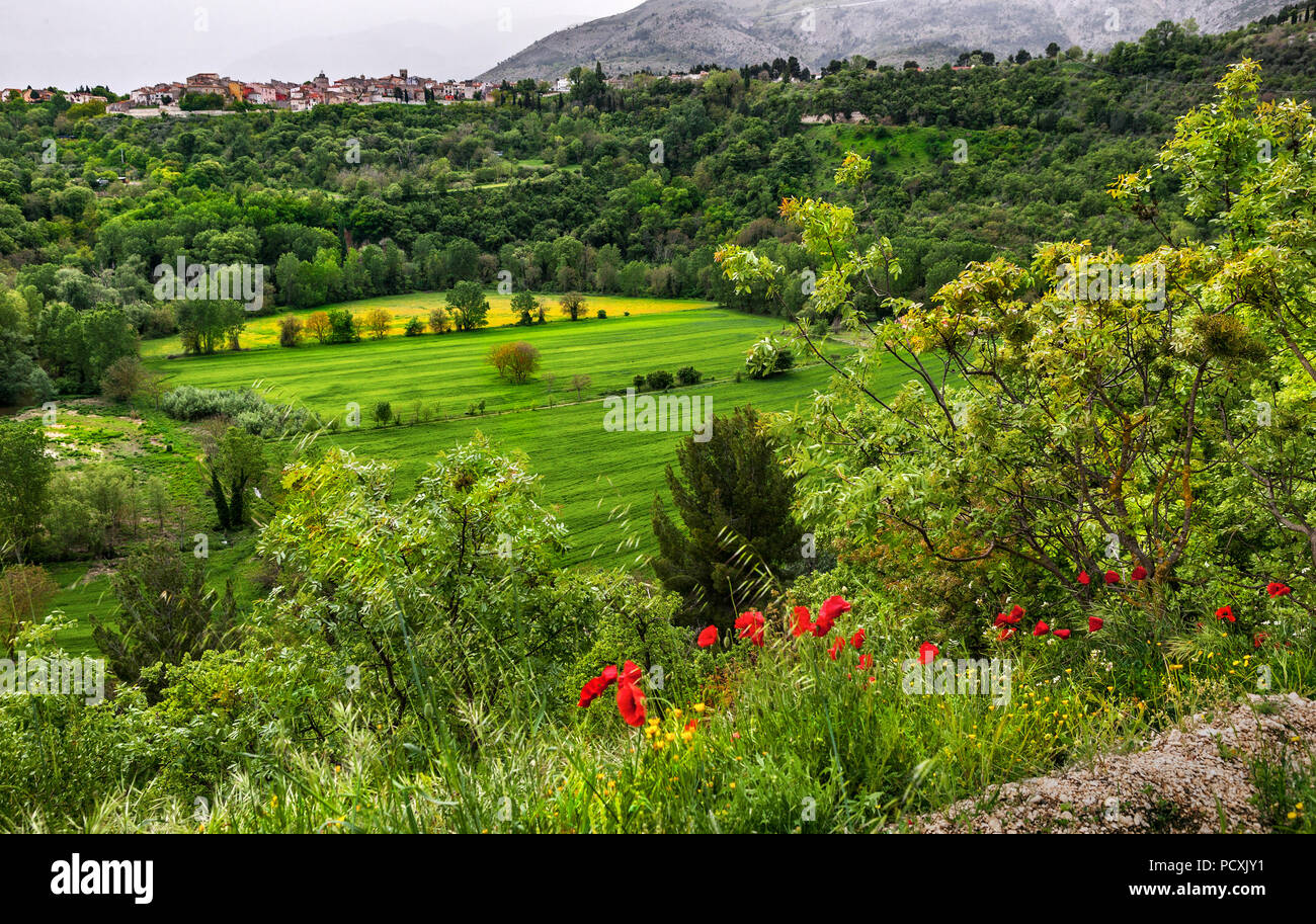 Terrain en campagne, les Abruzzes Banque D'Images