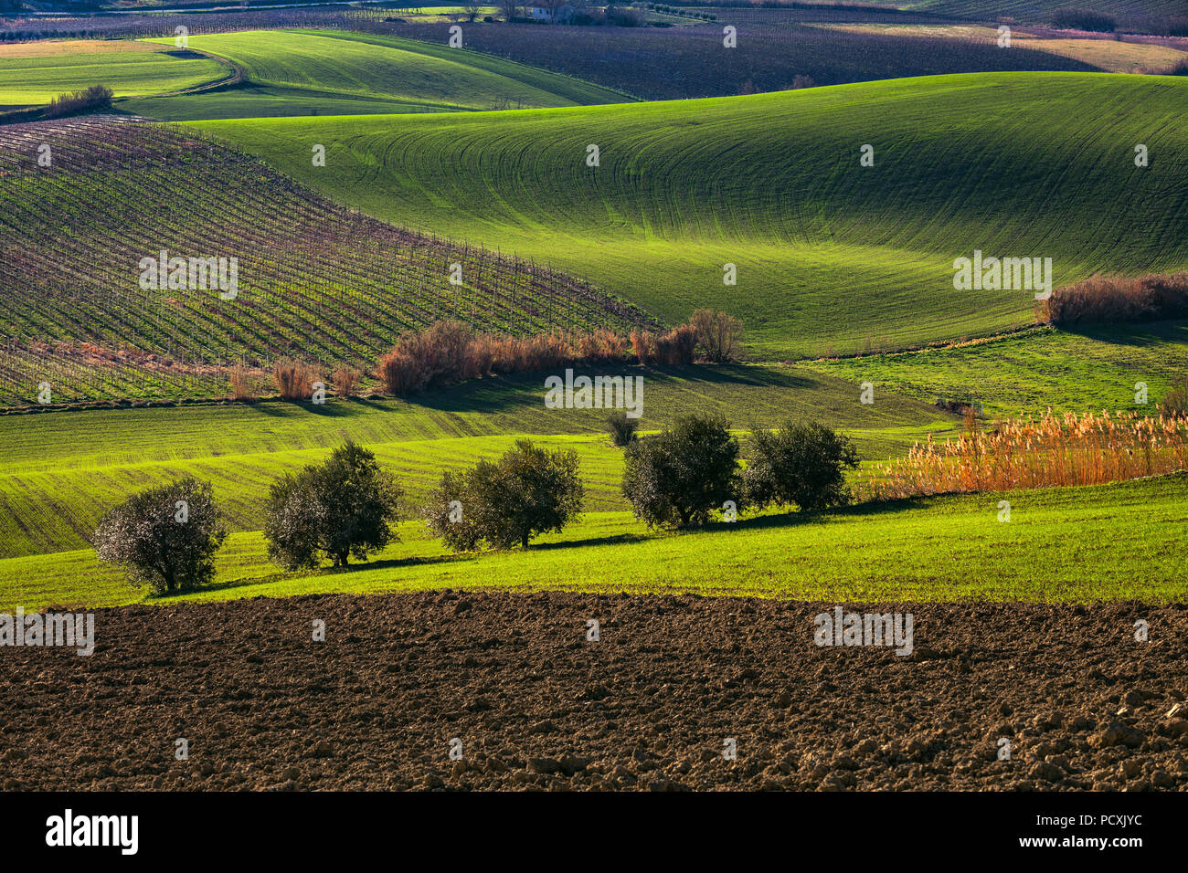 Terrain en campagne, les Abruzzes Banque D'Images