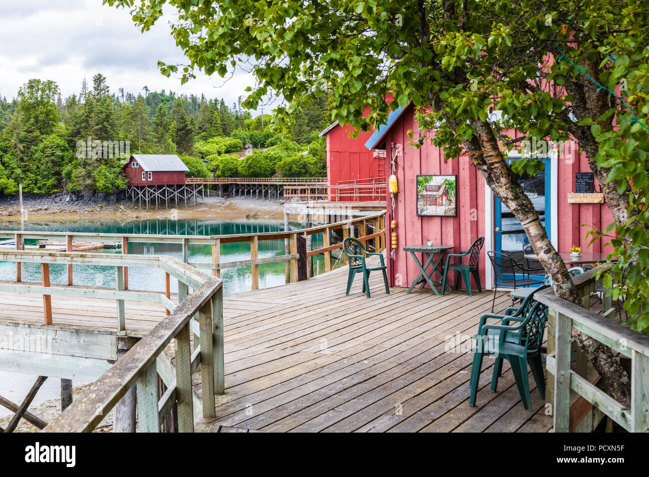Promenade en bois dans la région de Halibut Cove sur la péninsule de Kenai en Alaska Kachemak Bay de Homer Banque D'Images