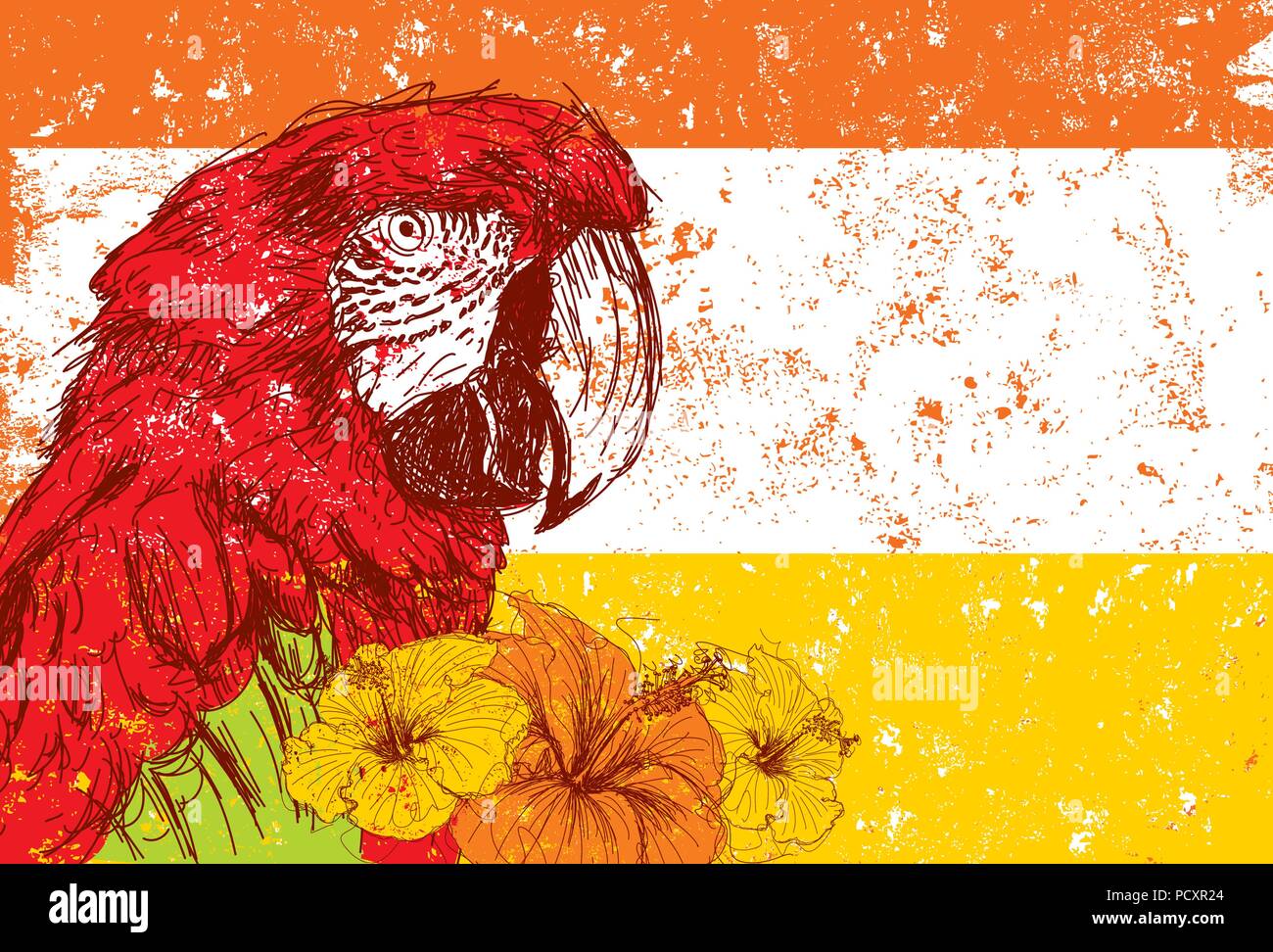Tête de perroquet avec fleurs d'hibiscus Illustration de Vecteur
