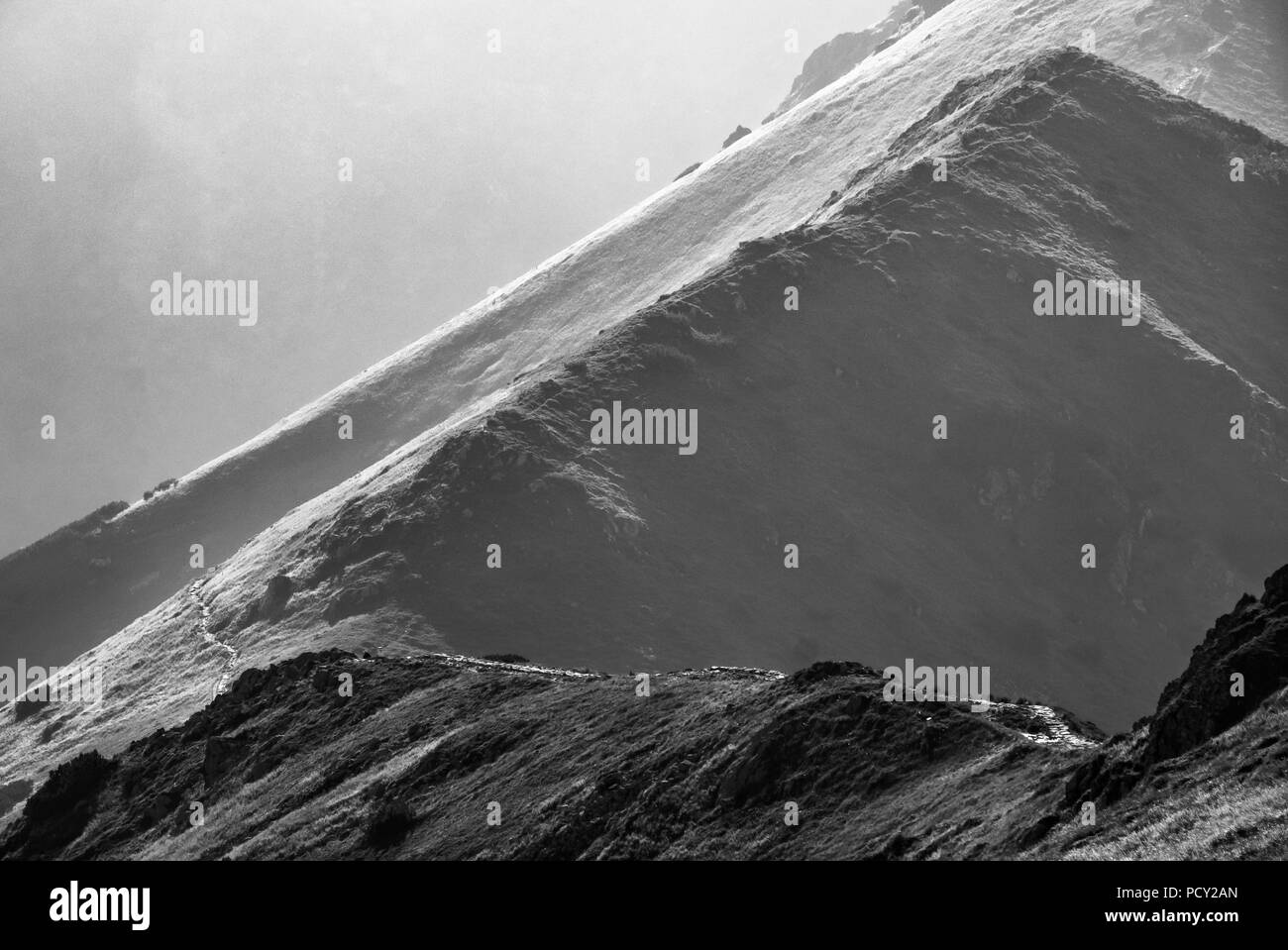 Noir et blanc panoramique sur la montagne avec brume à journée d'été dans le Parc National des Tatras, Pologne Banque D'Images
