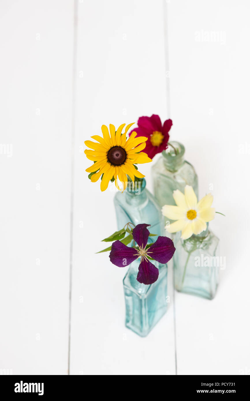 Fleurs cueillies dans des bouteilles en verre vintage sur fond blanc Banque D'Images