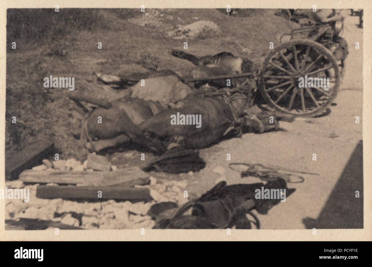 Droit de l'album photo de Gotthilf Oberfeldwebel Benseler de 9. Staffel, la Kampfgeschwader 3 : chevaux morts et de brisures de chariots tirés par des détritus le long de la route pendant la bataille de France, mai-juin 1940. Banque D'Images