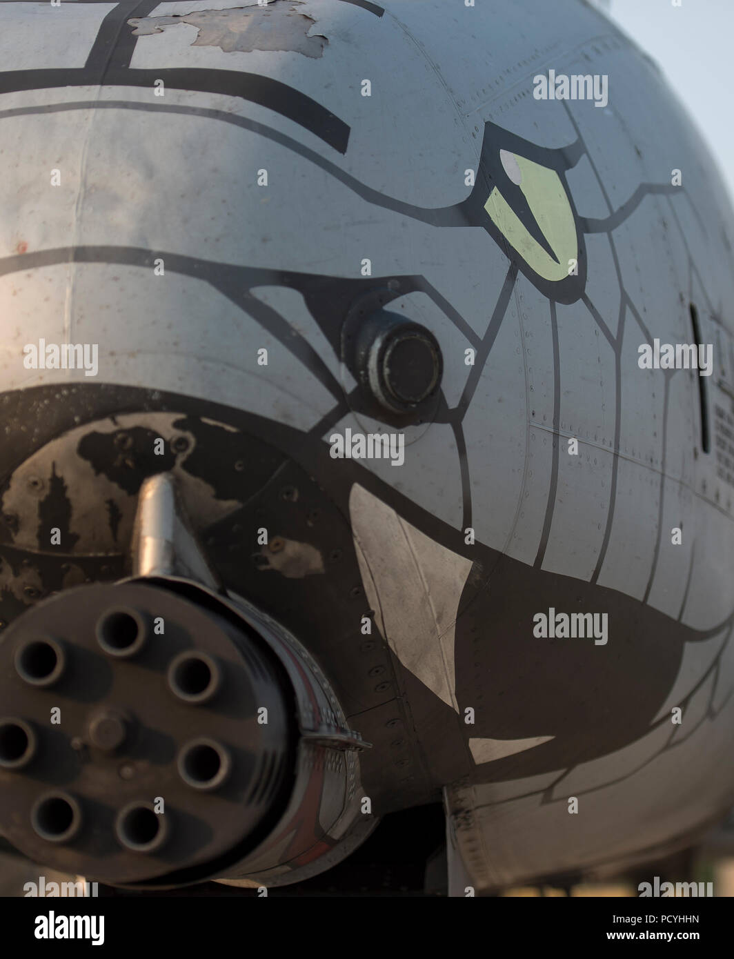 Un A-10 Thunderbolt II à partir de la 163e Escadron de chasse de la 122e Escadre de chasse de Fort Wayne Air National Guard Station, Indiana, pose pour un portrait sur l'aire de la 124e Escadre de chasse à Gowen Field, Boise, Idaho, 2 août 2018. La 122FW sont surnommés les "Blacksnakes" et leur A-10 ont une tête blacksnake peint sur le nez de l'avion. (U.S. Air National Guard photo par le Sgt. Joshua Allmaras) Banque D'Images