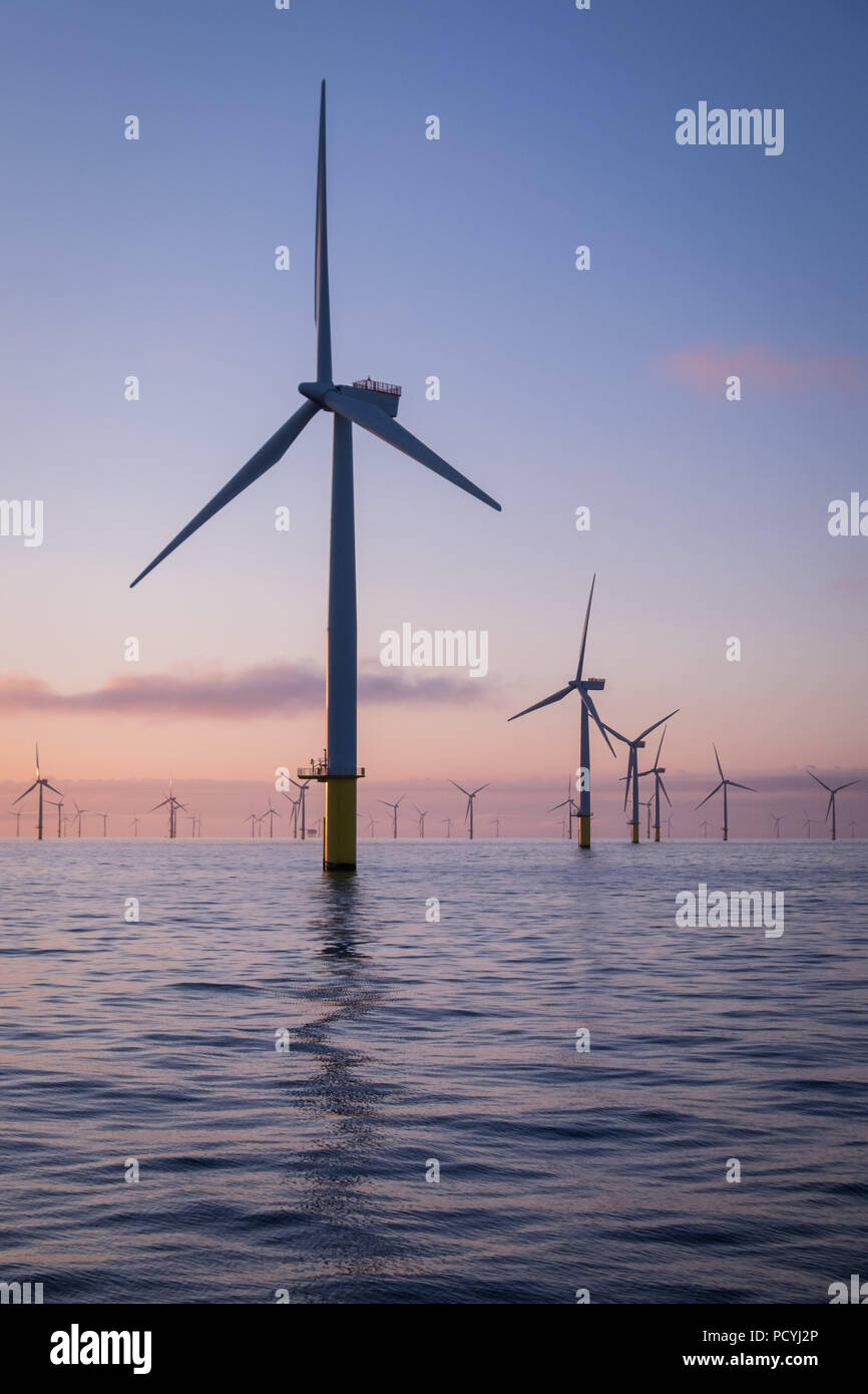 Éoliennes Offshore Éolien Walney sur à l'aube de la mer d'Irlande, Royaume-Uni Banque D'Images