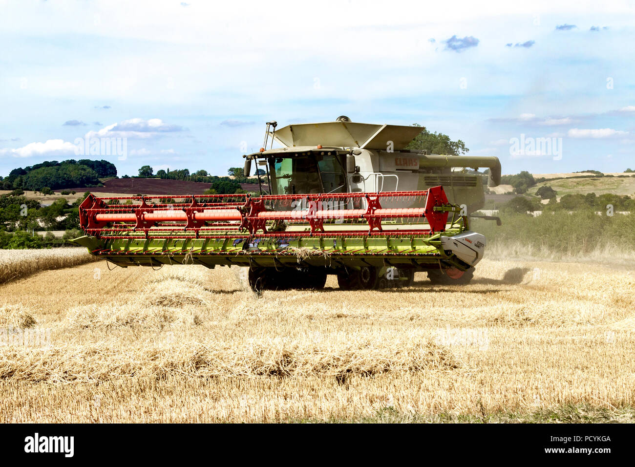 Great Brington, Northamptonshire, Angleterre. 4 août 2018. Les ouvriers agricoles de la récolte avec une moissonneuse Claas 770 Lexton travailler dur pendant la chaleur de l'après-midi Banque D'Images