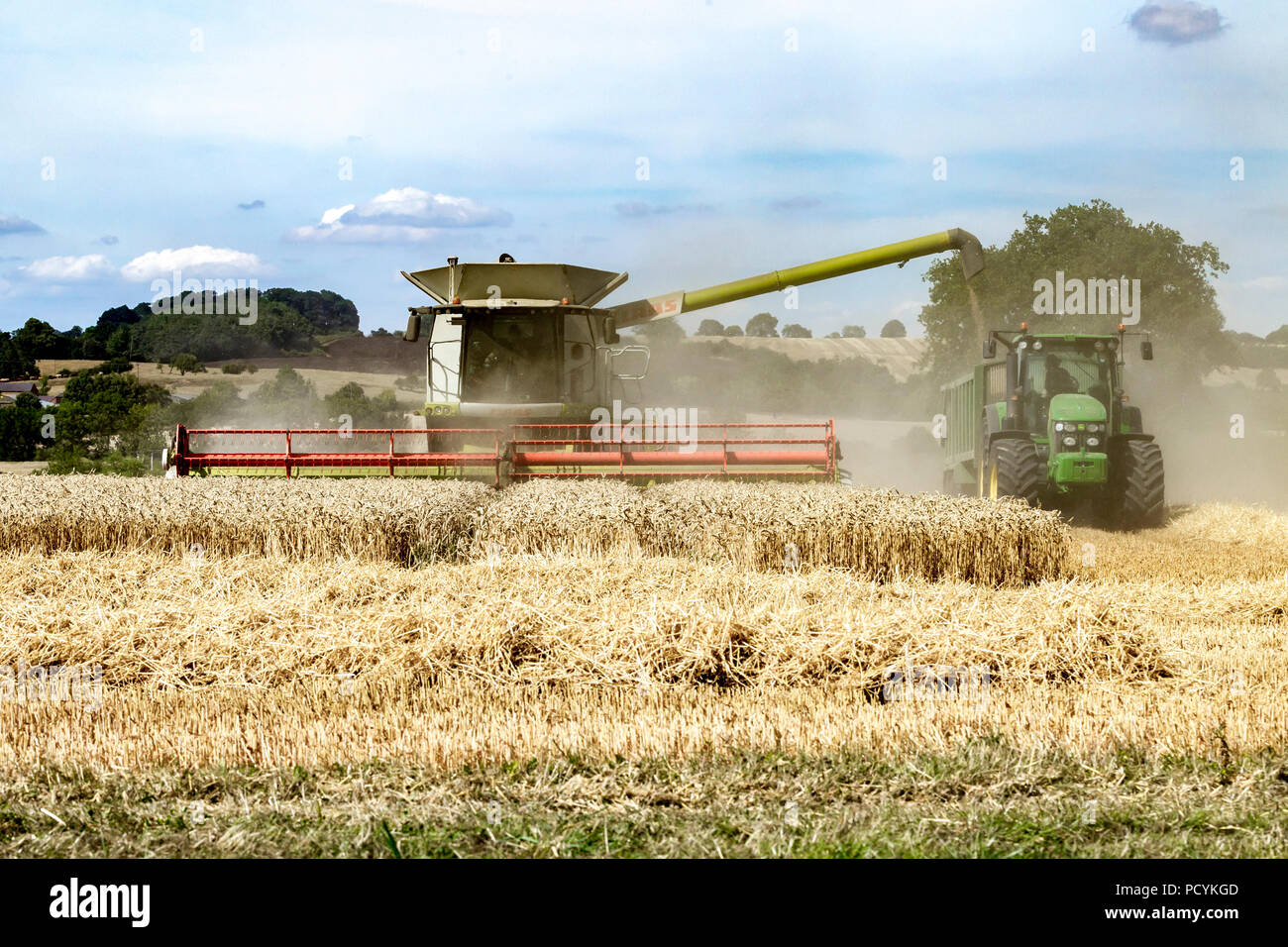 Great Brington, Northamptonshire, Angleterre. 4 août 2018. Les ouvriers agricoles de la récolte avec une moissonneuse Claas 770 Lexton travailler dur pendant la chaleur de l'après-midi Banque D'Images