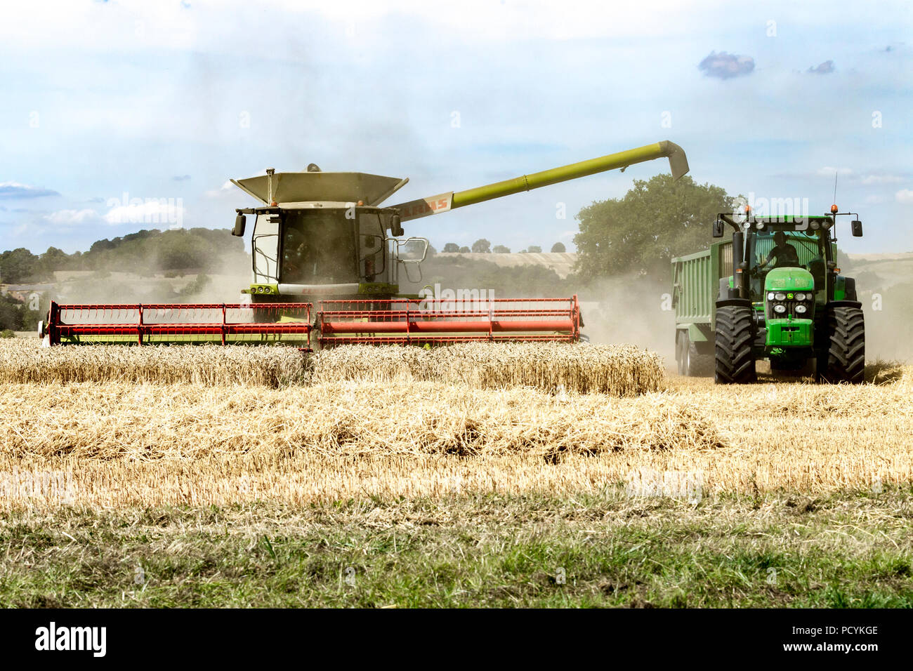 Great Brington, Northamptonshire, Angleterre. 4 août 2018. Les ouvriers agricoles de la récolte avec une moissonneuse Claas 770 Lexton travailler dur pendant la chaleur de l'après-midi Banque D'Images