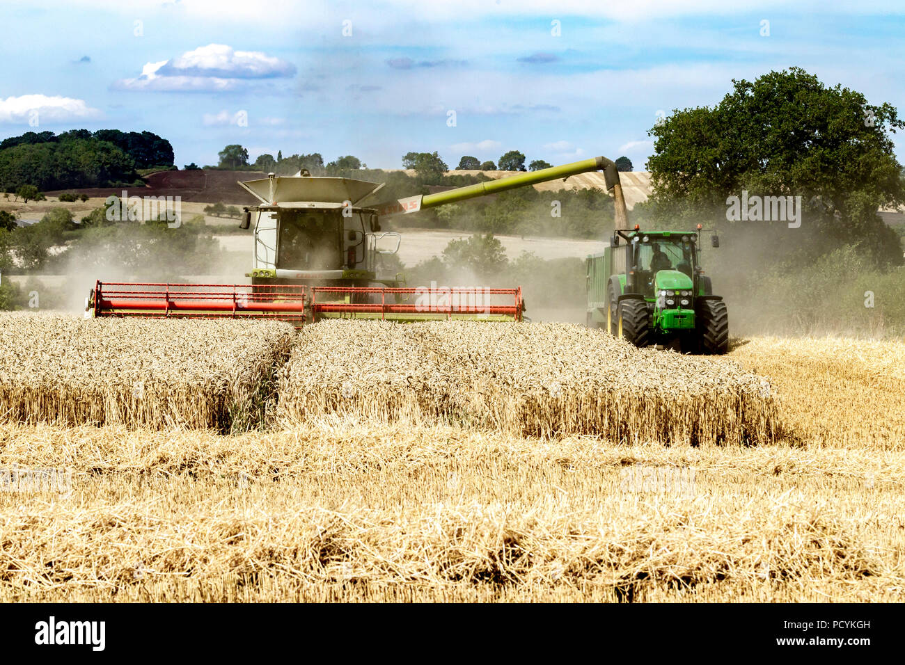Great Brington, Northamptonshire, Angleterre. 4 août 2018. Les ouvriers agricoles de la récolte avec une moissonneuse Claas 770 Lexton travailler dur pendant la chaleur de l'après-midi Banque D'Images